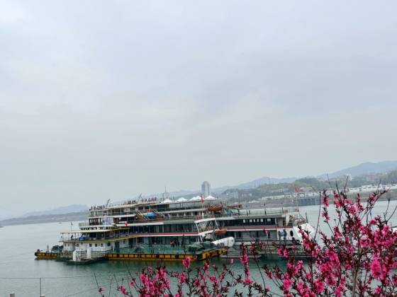 【旅游网推荐】两坝一峡豪华游船一日游图1
