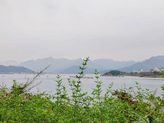 【旅游网推荐】两坝一峡豪华游船一日游图4