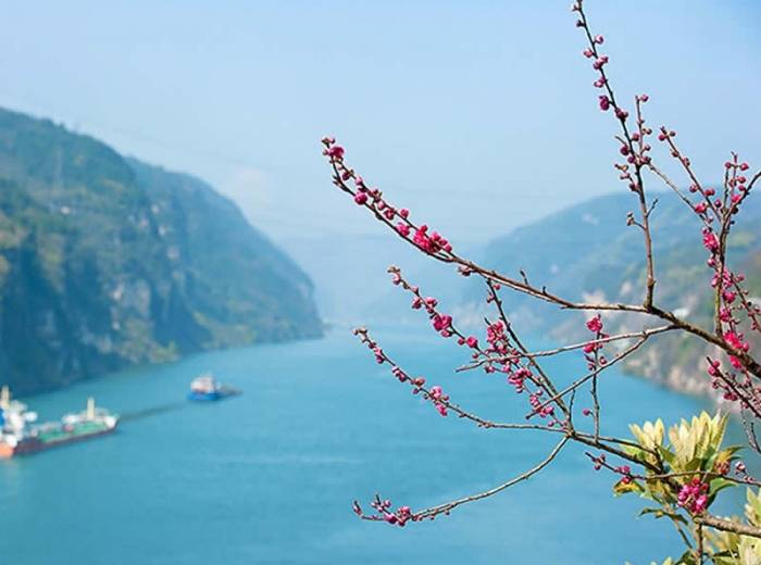 十一跟团去峡口蹦极【西陵峡全景一日游】图2